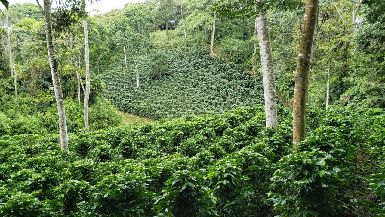 Finca Tres Equis - Farm&Forest Exterior foto