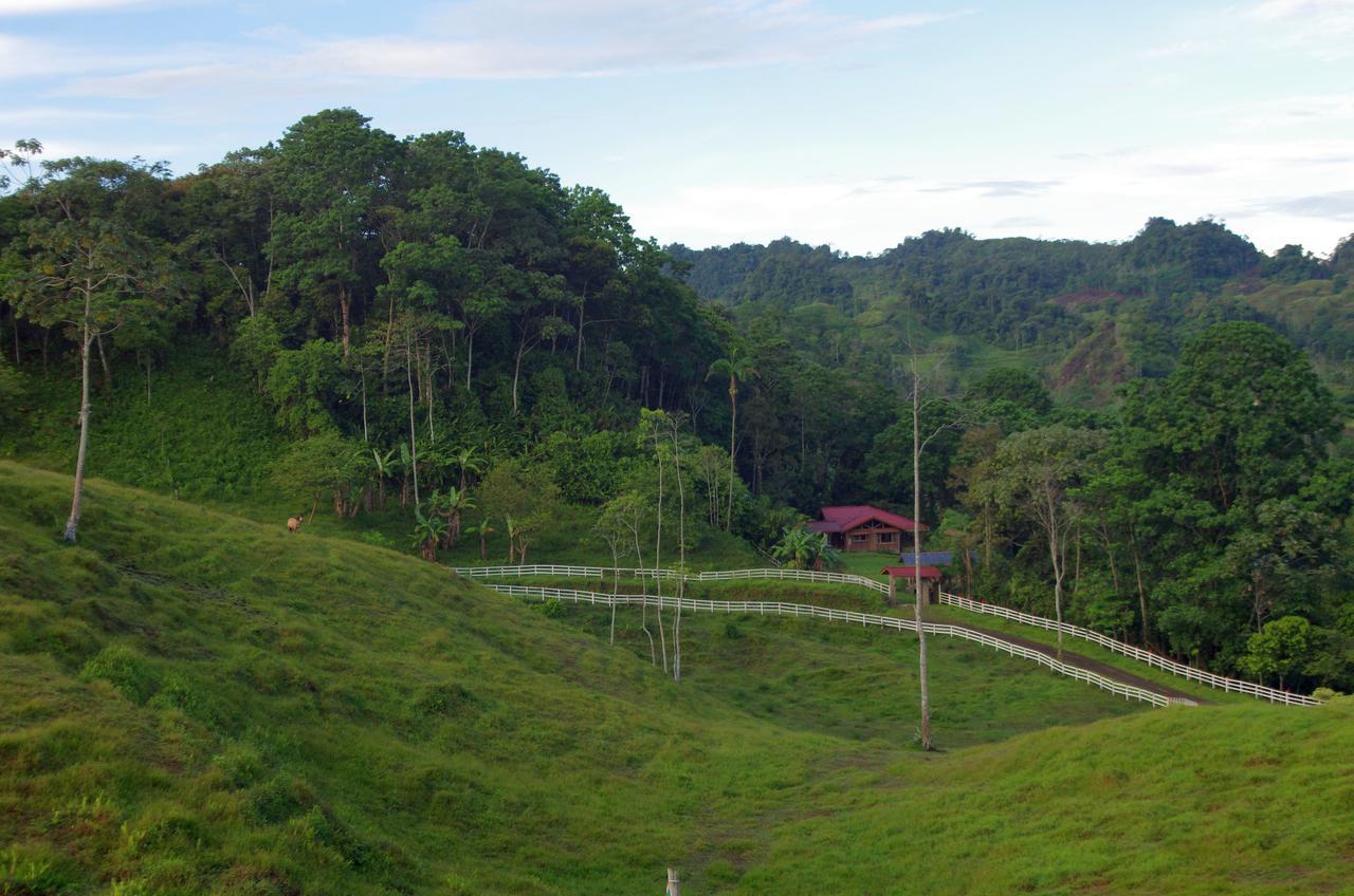 Finca Tres Equis - Farm&Forest Exterior foto