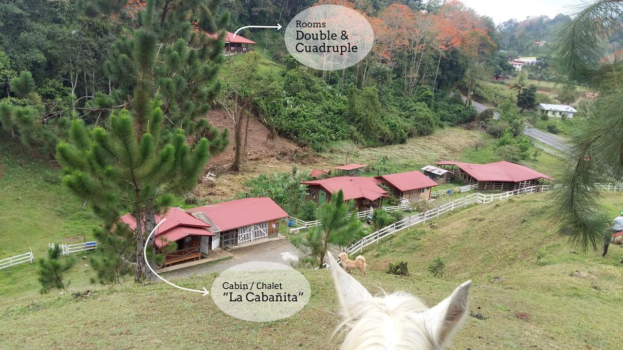 Finca Tres Equis - Farm&Forest Exterior foto